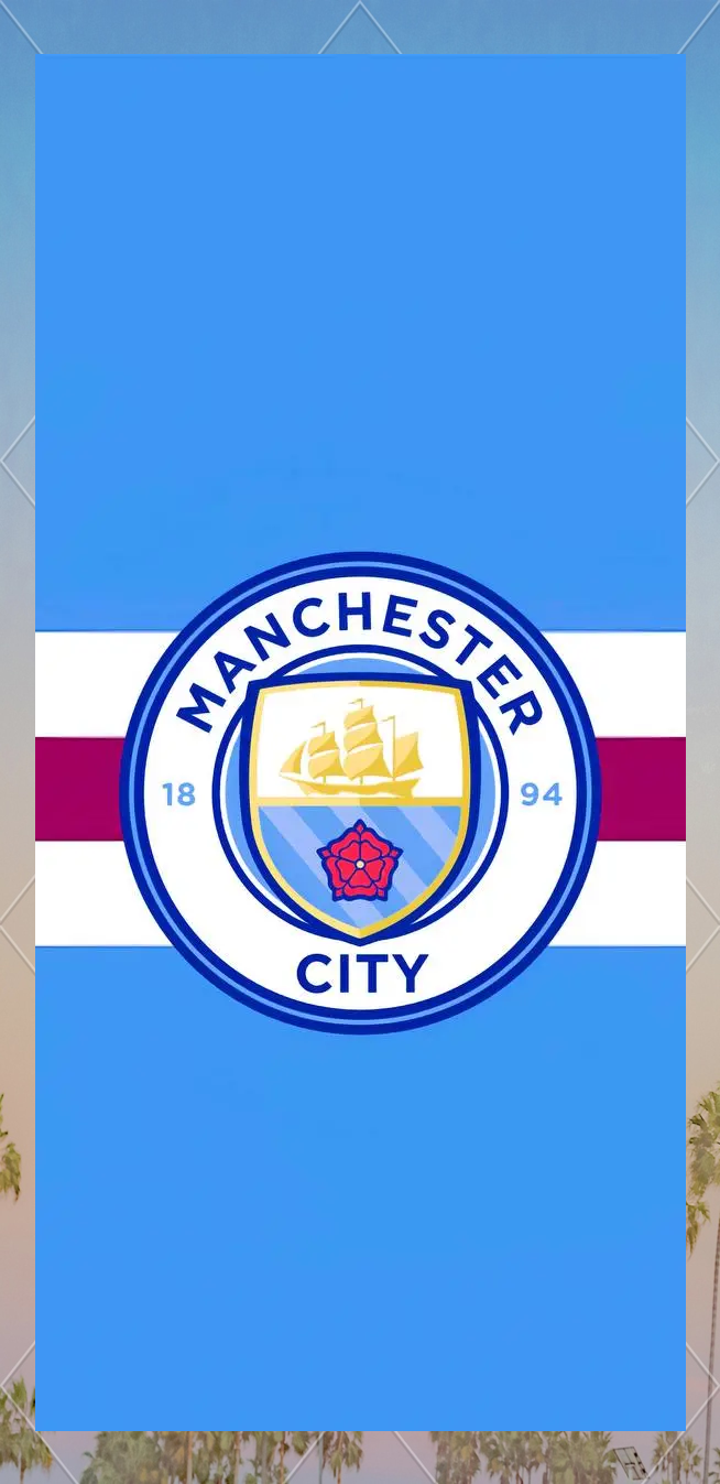 上海申花客场对阵广岛三箭，虽0-2落败，但有望晋级，展现顽强斗志，助力海港复仇。